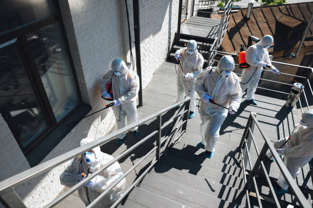 Best Emergency Mold Remediation  in Downey, CA