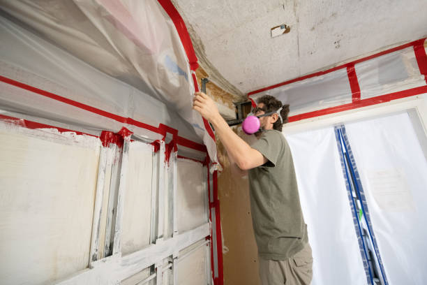 Best Post-Construction Mold Inspection  in Downey, CA