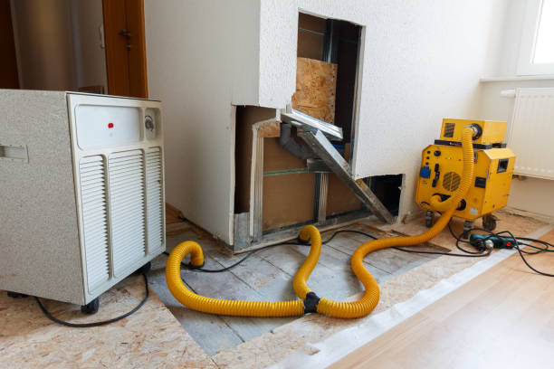 Best Airborne Mold Testing  in Downey, CA