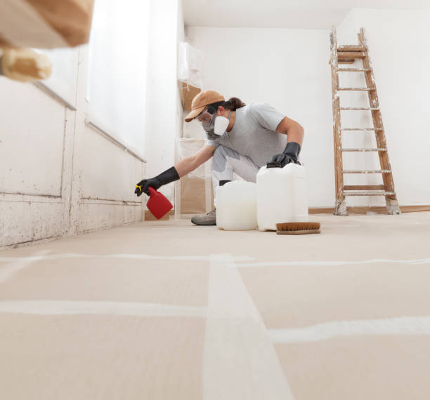 Best Forensic Mold Investigation  in Downey, CA